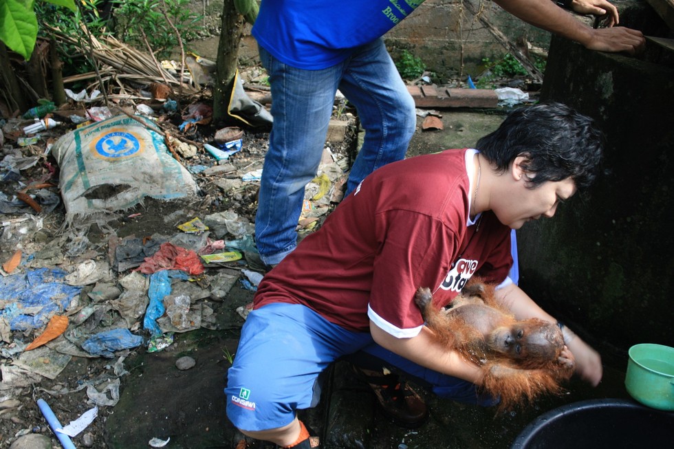 SOCP