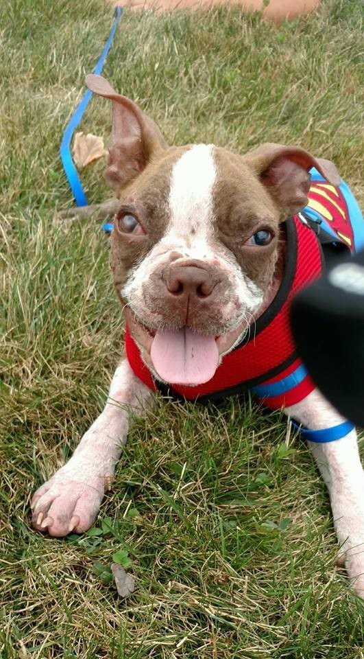Facebook: Libre, The Bug Eyed Miracle