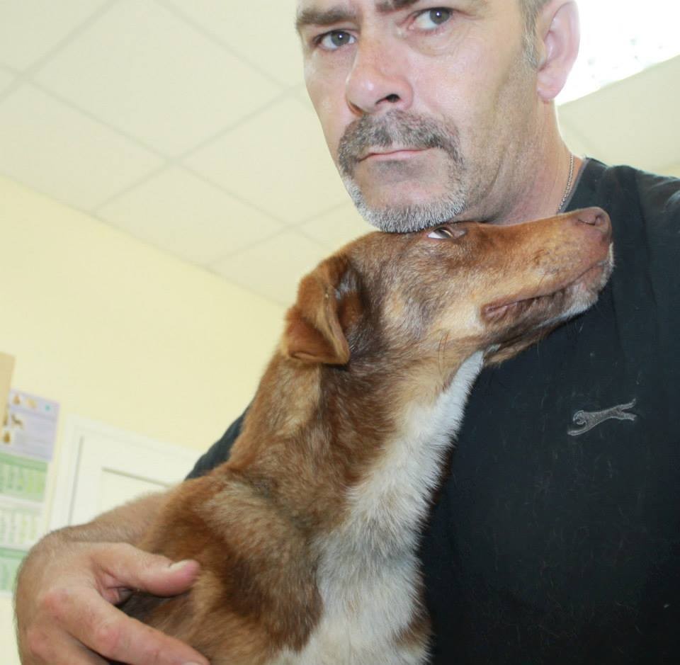 Rudozem Street Dog Rescue