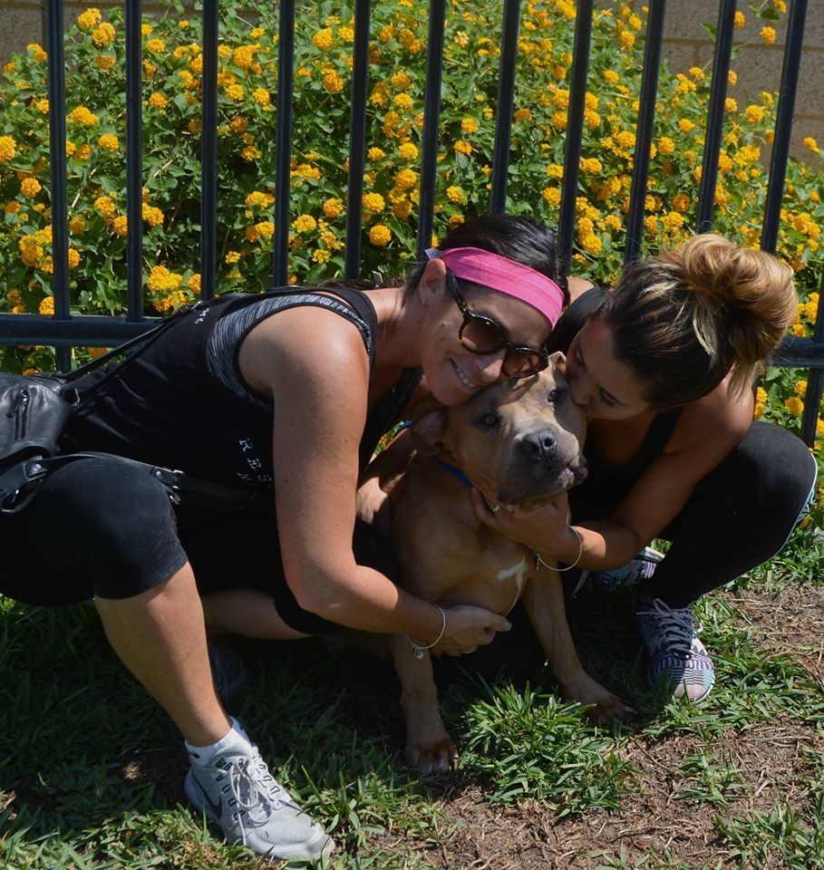 San Jacinto Valley Animal Campus