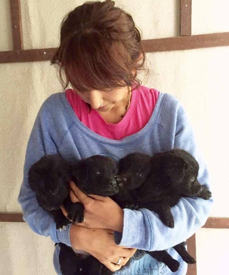Juliana's Animal Sanctuary