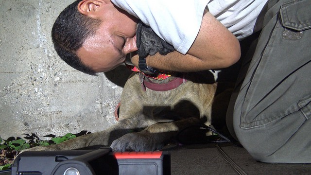 Hope For Paws
