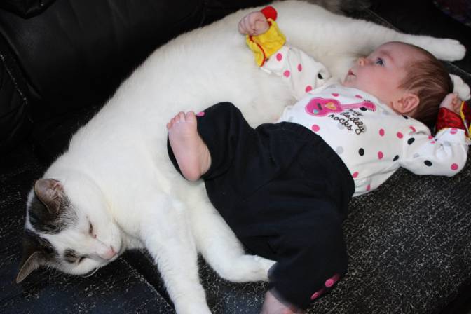 Photo credit: Global News