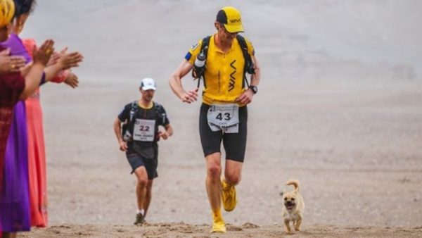 Gobi