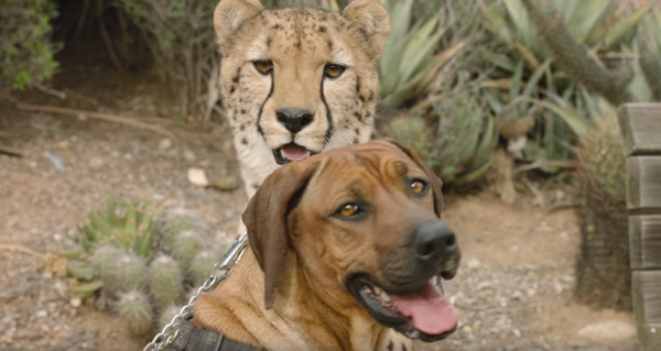 San Diego Zoo
