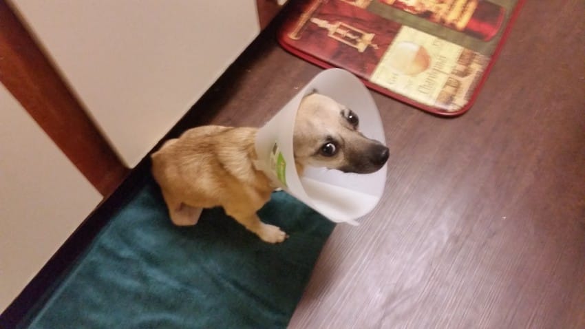 Photo credit: Imgur/OhHiDenny