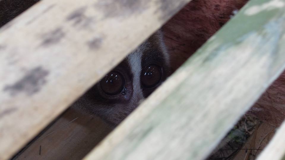 Photo credit: Ecoproject