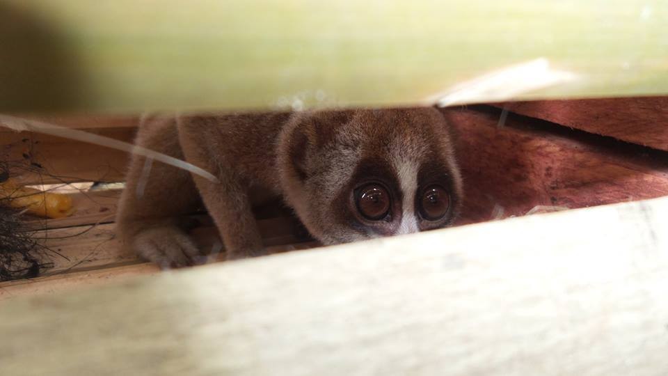 Photo credit: Ecoproject