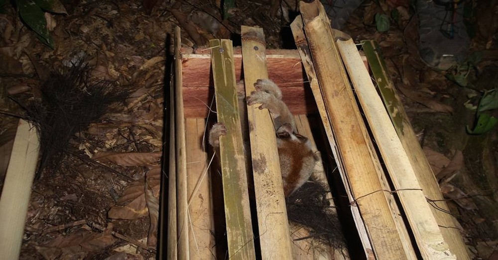 Photo credit: Ecoproject