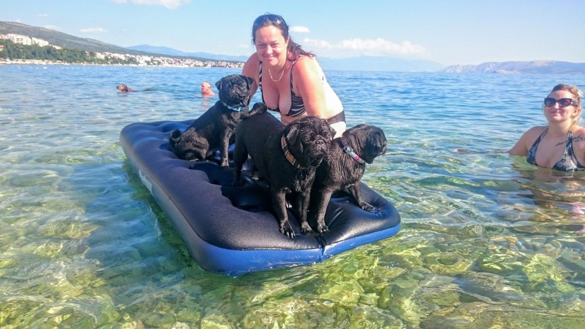 Monty's Dog Beach Bar