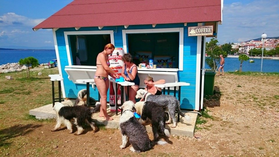 Monty's Dog Beach Bar