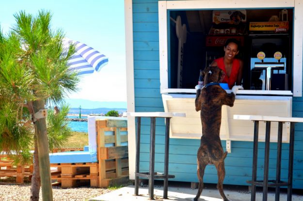 Monty's Dog Beach Bar