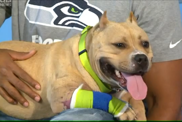 Q13 FOX News