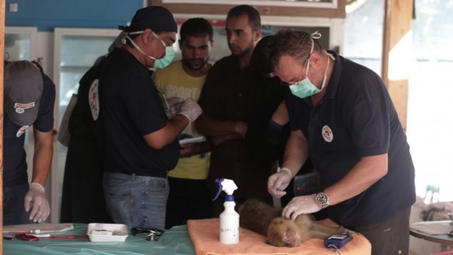 Photo credit: Times Of Israel