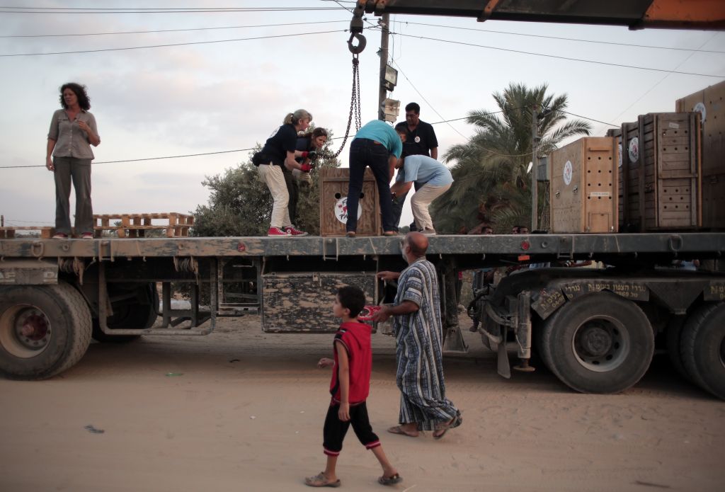 Photo credit: Times Of Israel