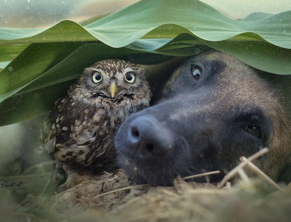 Photo credit: Tanja Brandt