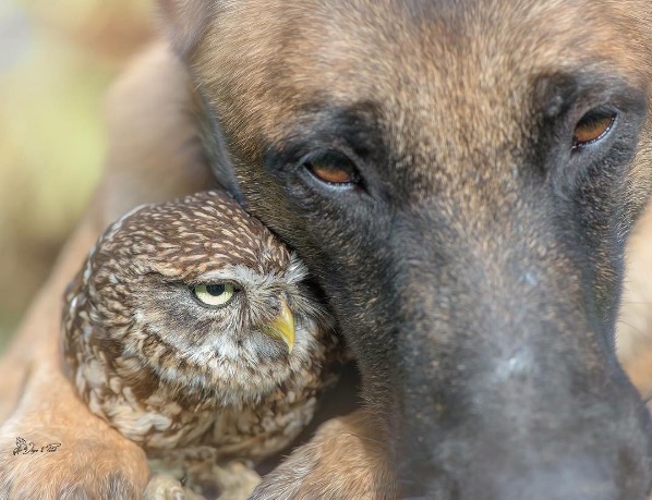 Photo credit: Tanja Brandt