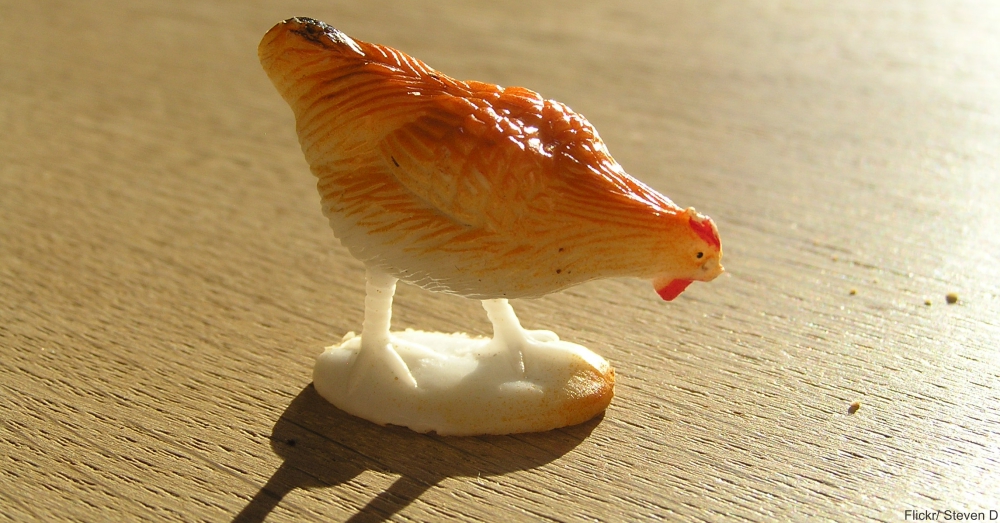 Tiny Plastic Chicken