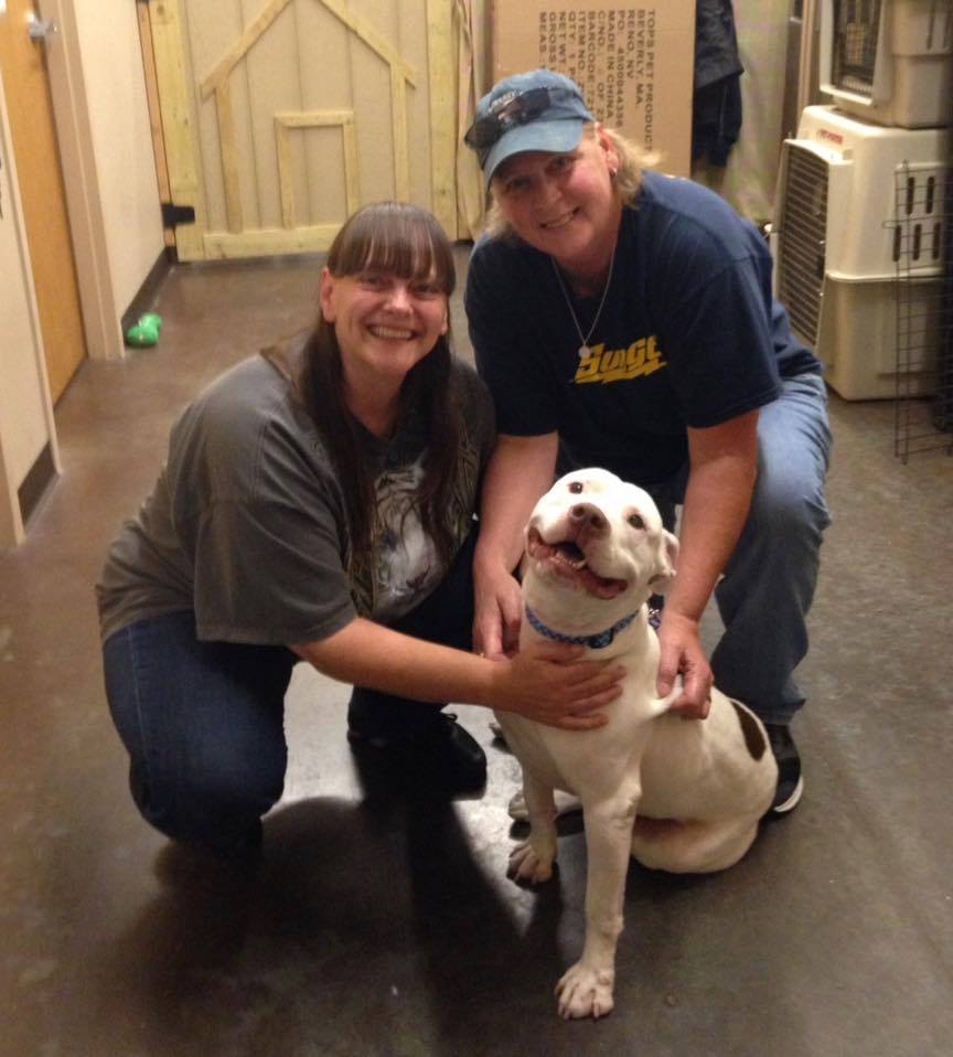 KC Pet Project