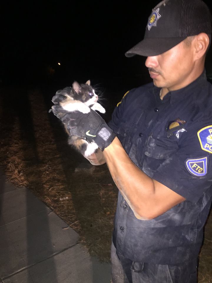 Photo credit: Parlier Police Department
