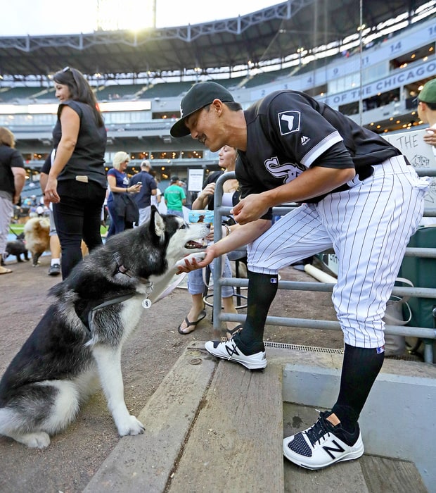 Chicago White Sox