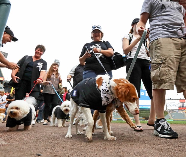 Chicago White Sox