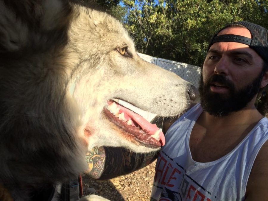 Photo credit: Animal Rescue Team