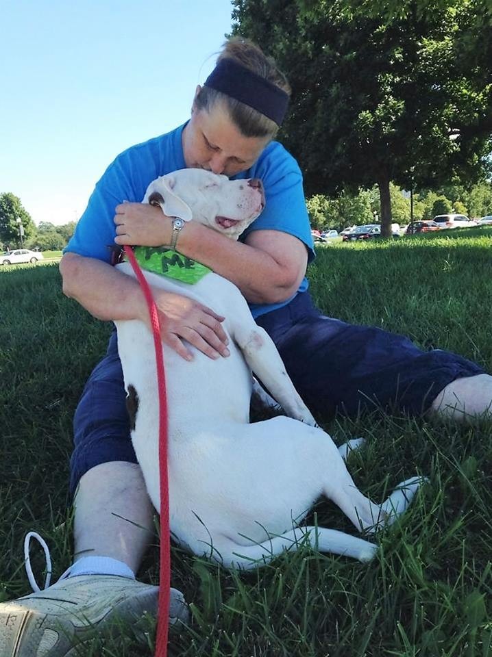KC Pet Project