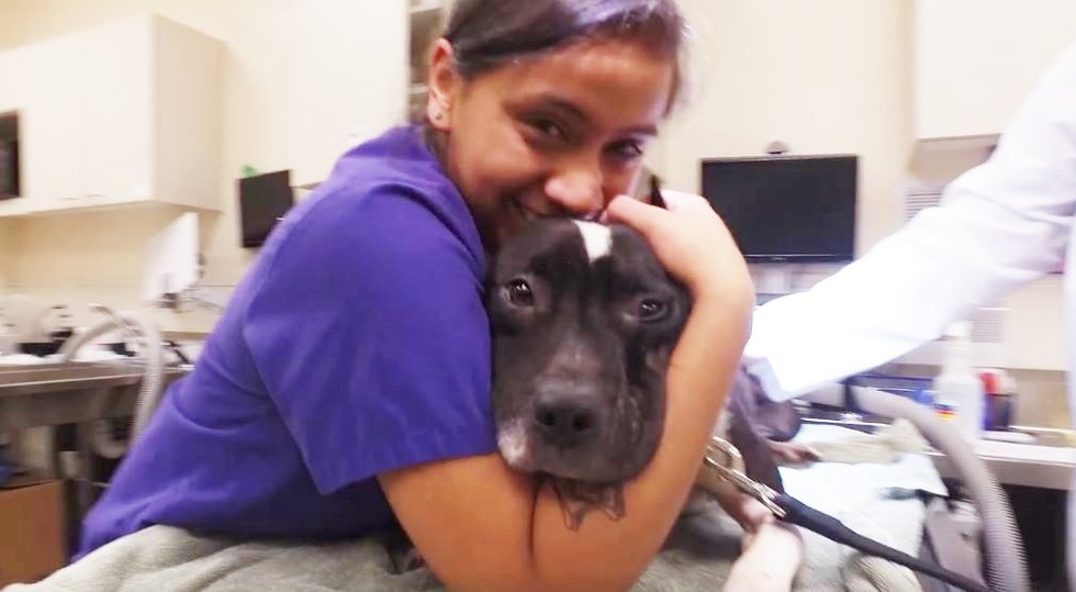 SPCA Texas