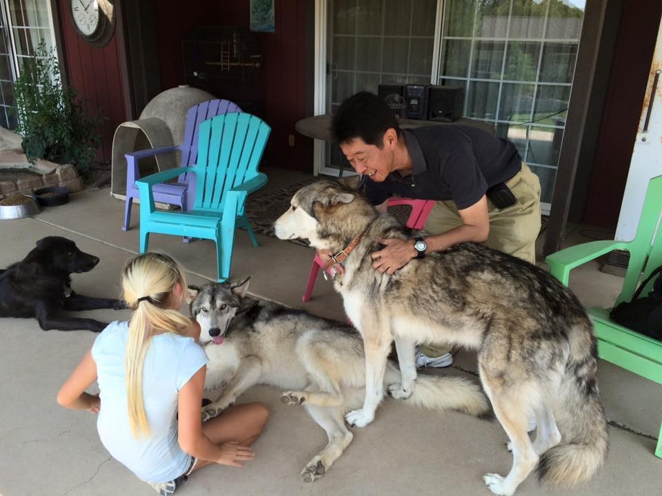 Photo credit: Animal Rescue Team