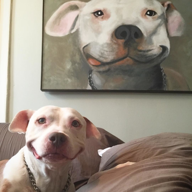 Instagram: @smilingbrinks