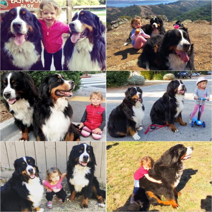 Instagram: biggieandruby