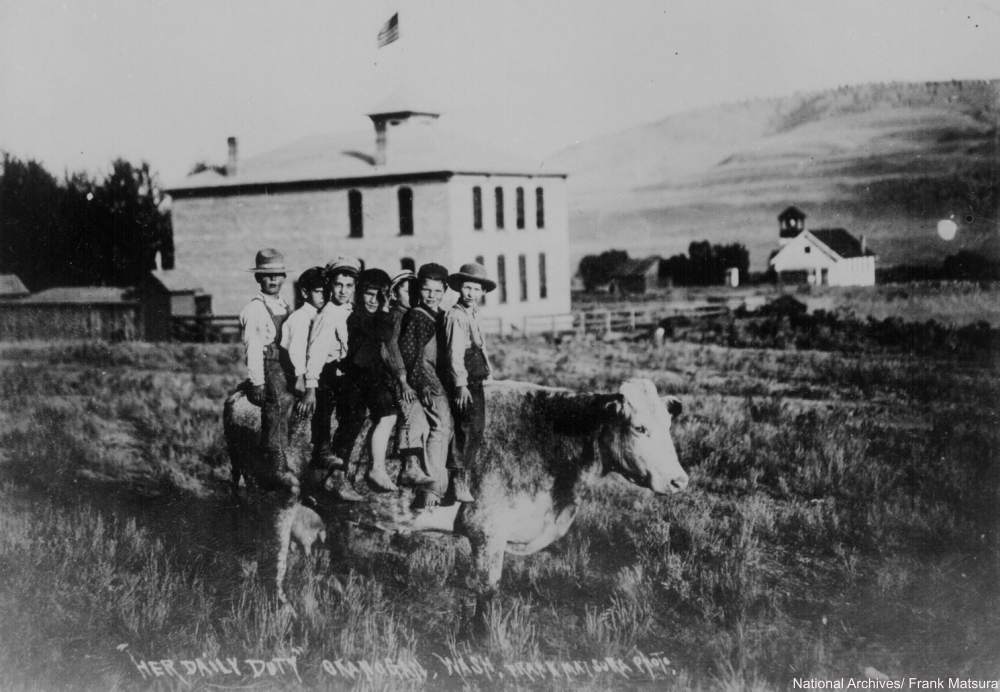 1907 Frontier children on cow