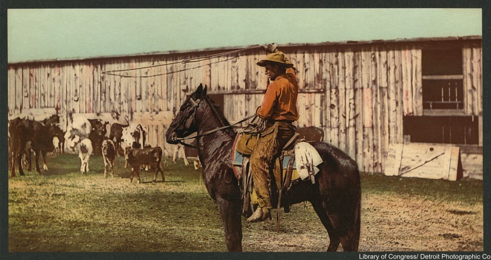 cowboy circa 1898 tinted photo