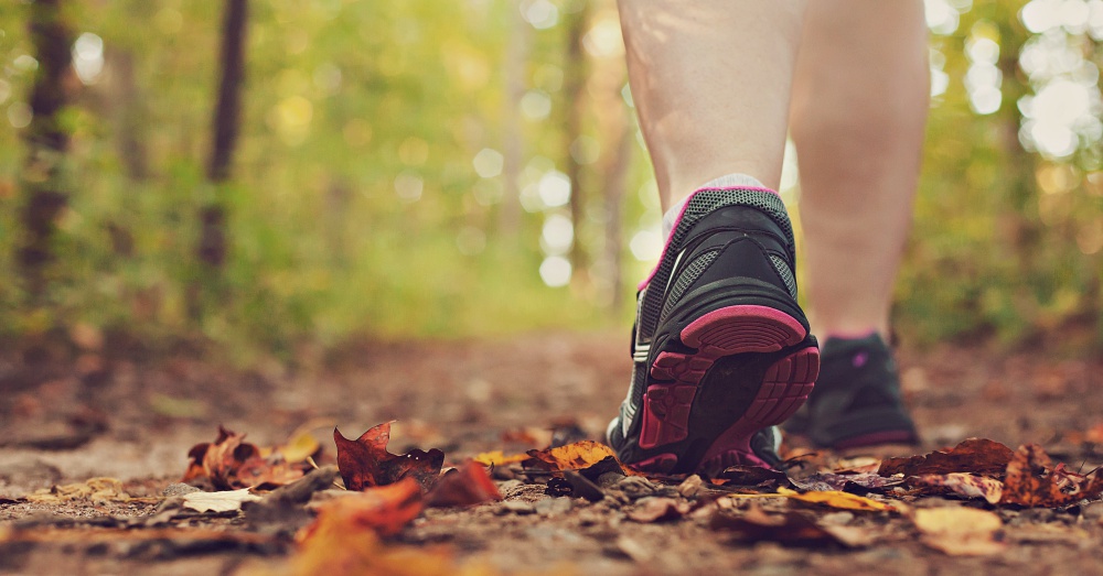 Photo: AdobeStock/Kevin Carden