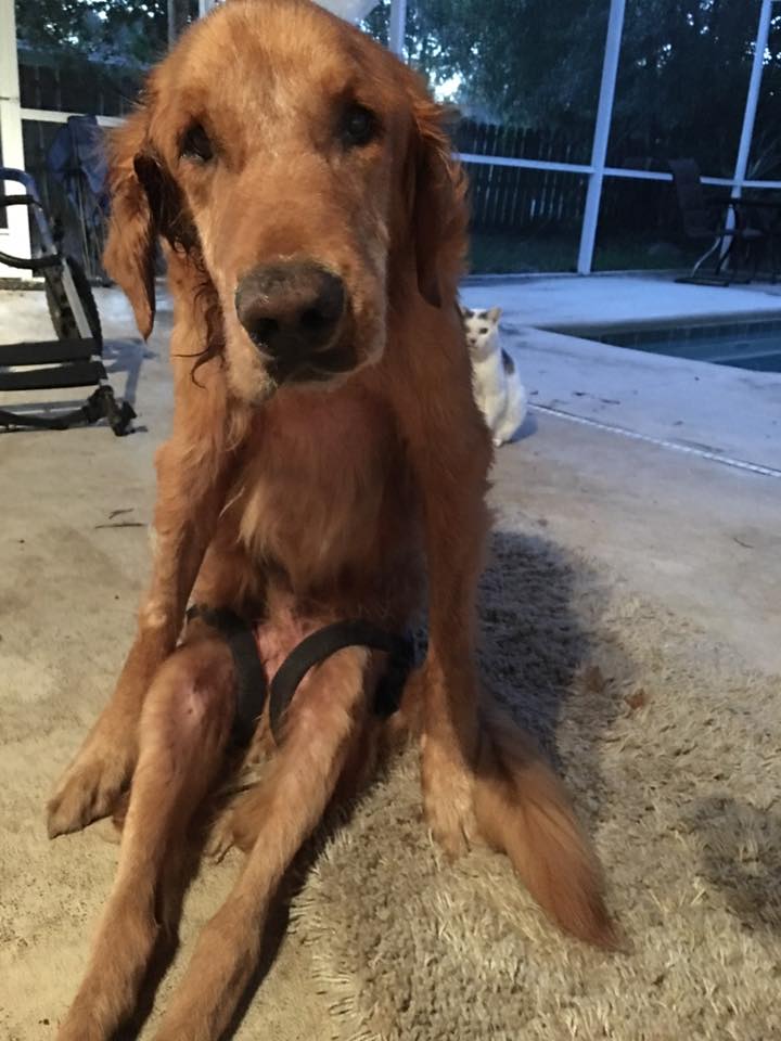 Facebook/Everybody Loves Maverick