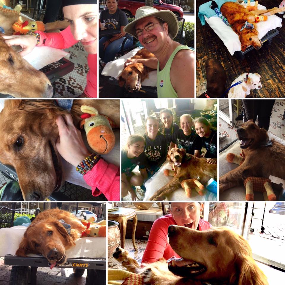 Facebook/Everybody Loves Maverick