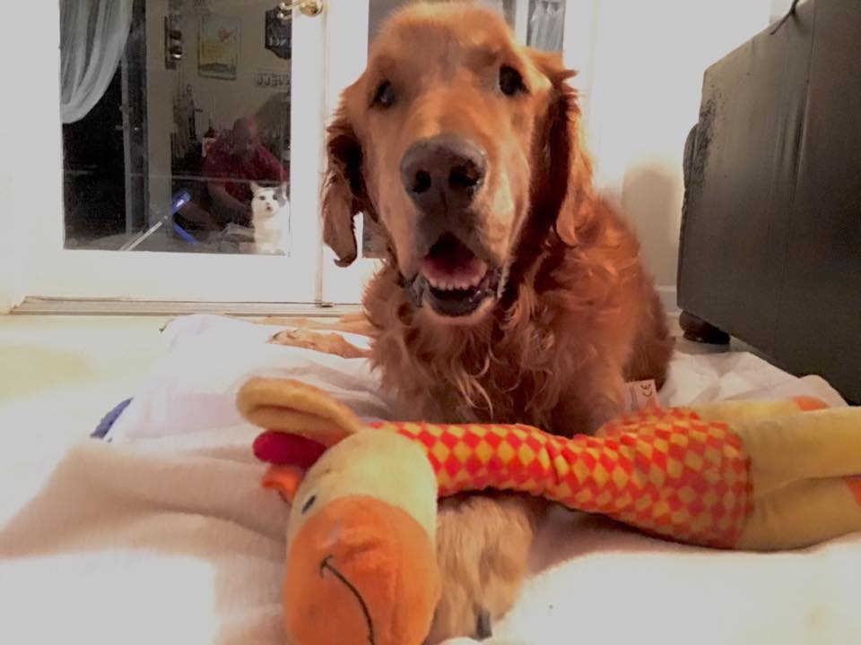 Facebook/Everybody Loves Maverick