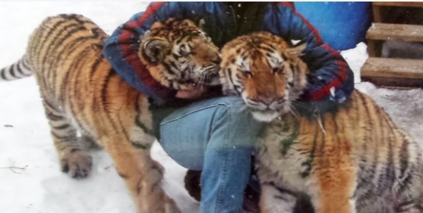 Wildcat Sanctuary