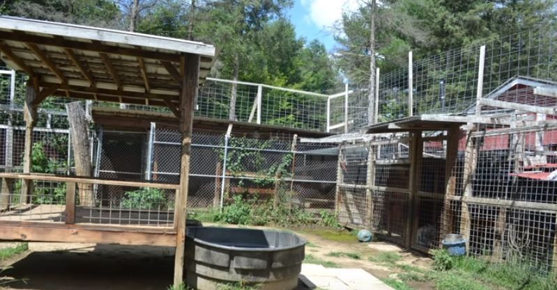 Wildcat Sanctuary