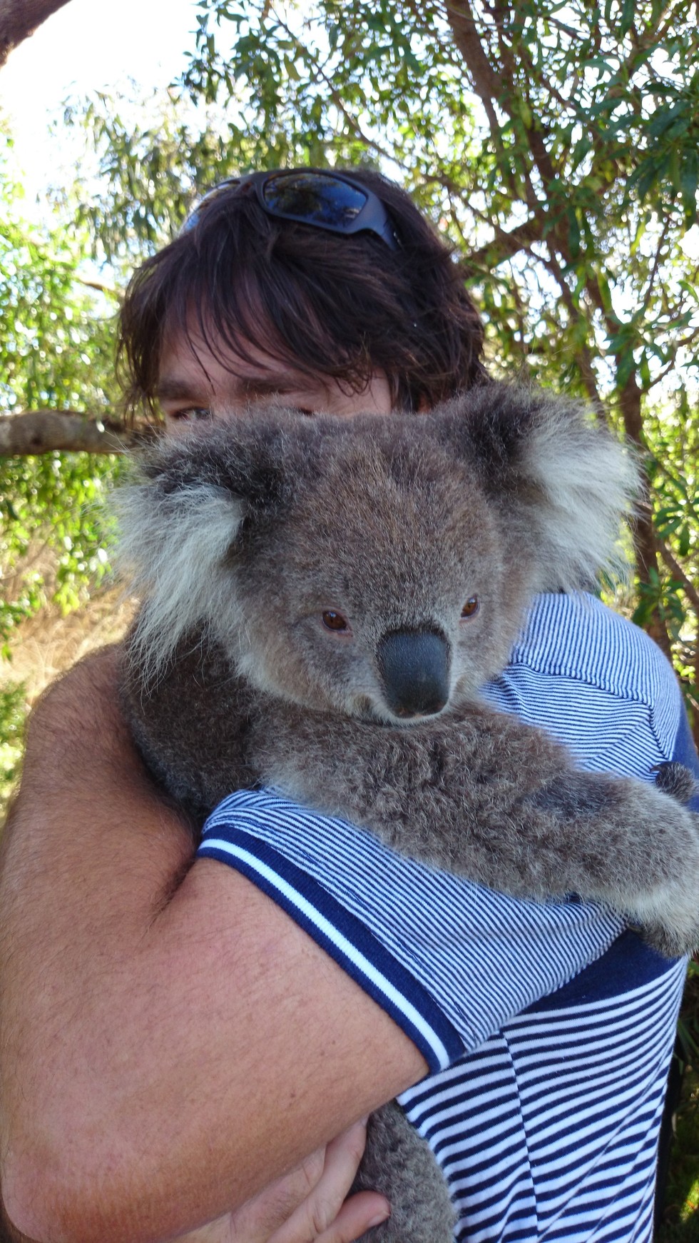 RAYMOND ISLAND KOALA AND WILDLIFE SHELTER