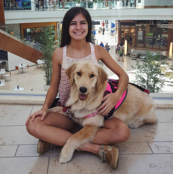 Instagram: helper_dog_harlow