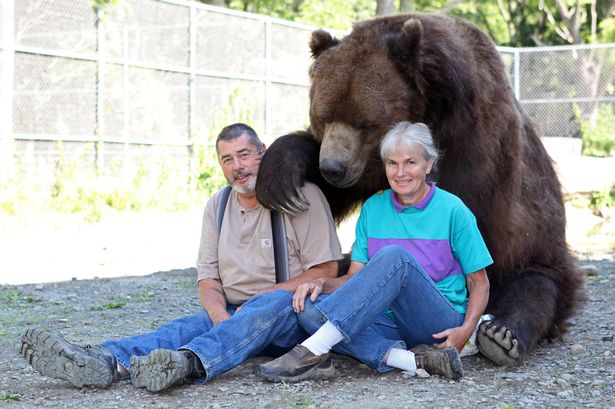 Orphaned Wildlife Center