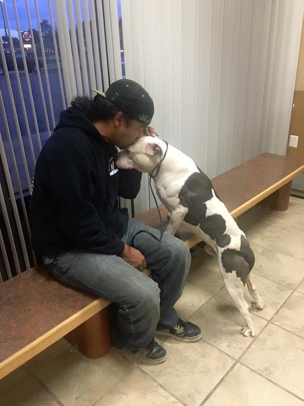 Detroit Dog Rescue
