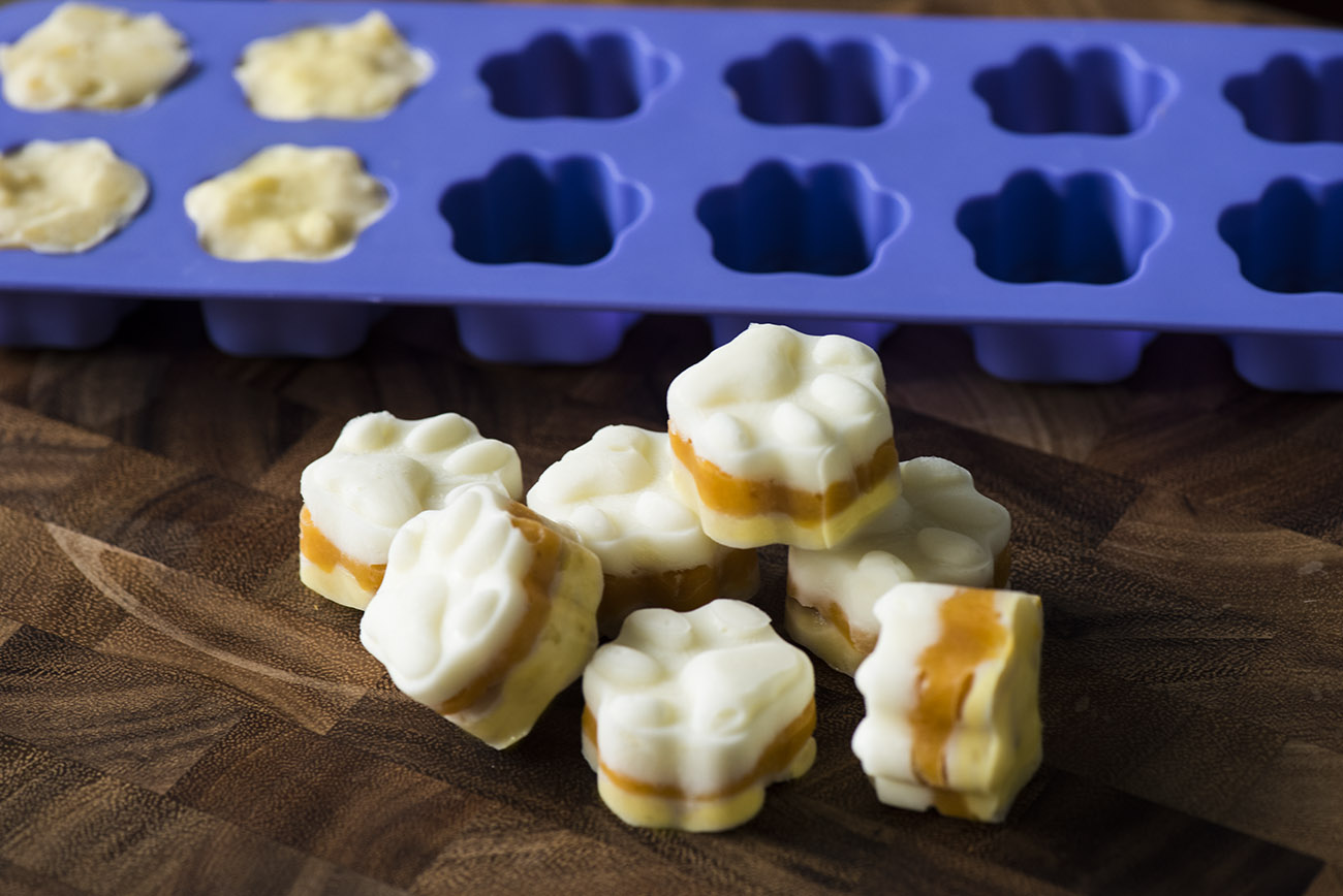 Candy Corn Dog Treats 12 Tomatoes