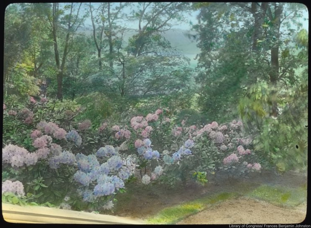 Frances Benjamin Johnston the first successful female photographer