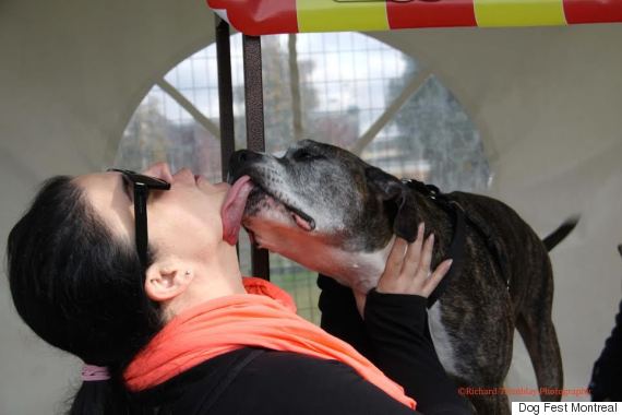 Dog Fest Montreal