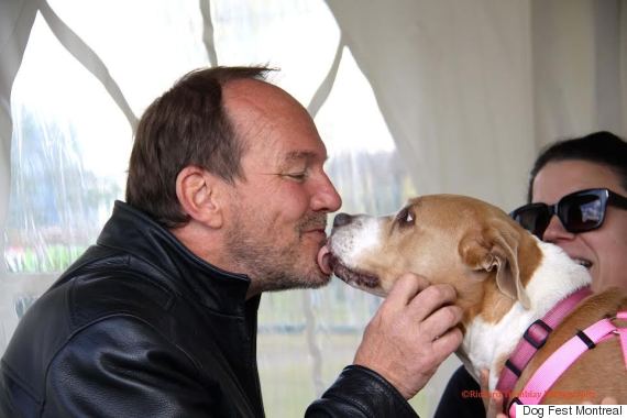 Dog Fest Montreal