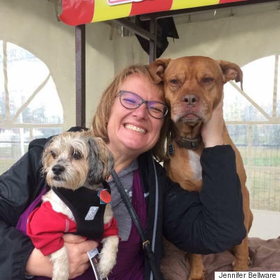 Dog Fest Montreal