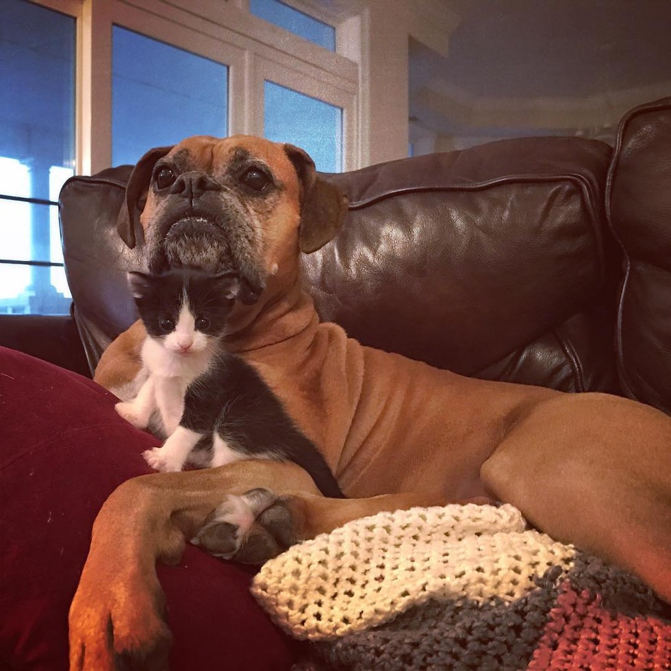 @suzie_and_kushi